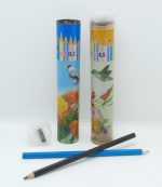 LAPIZ COLOR X12 CP-120L AAÑ
