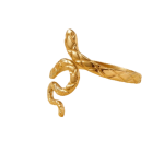ANILLO ACERO DORADO SERPIENTE AN2123D GAÑ