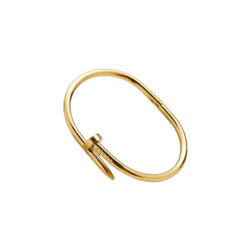 PULSERA RIGIDA ACERO DORADO QUIRURGICO CLAVO PUL24D IAÑ