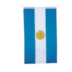 BANDERA ARGENTINA GRANDE 90x150CM ART WCF-10 CAO