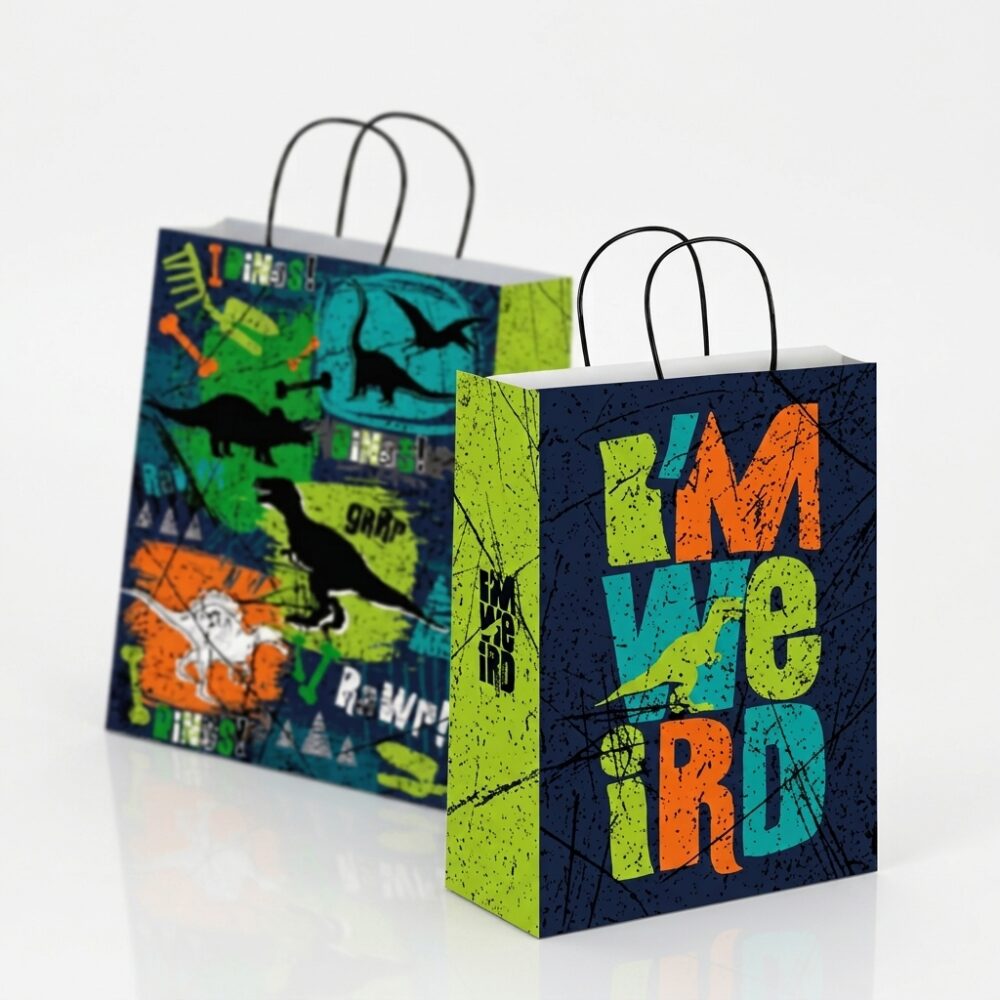 BOLSA FANTASIA DINOSAURIO 18X08X20 ART BF180820DIN HAO