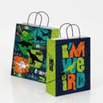 BOLSA FANTASIA DINOSAURIO 18X08X20 ART BF180820DIN HAO