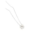 CADENA ACERO BLANCO DIJE CORAZON C/IMAN BZCADI369P GAO