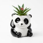 MACETA PANDA C/PLANTA ART 201081 IAO