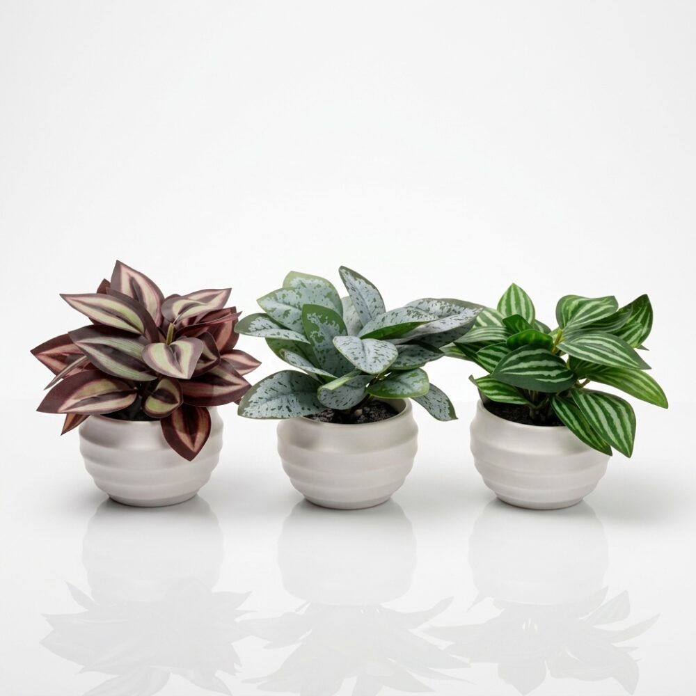MACETA SET X3 C/PLANTA DECO ART 201515 IAO