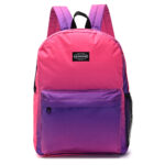 MOCHILA GOODPAK FUCSIA 43X33X15CM 17" ART 37501 JAO